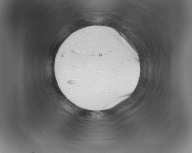 X0000074210612200609221943