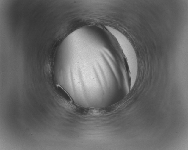 X0000074210613200609221943