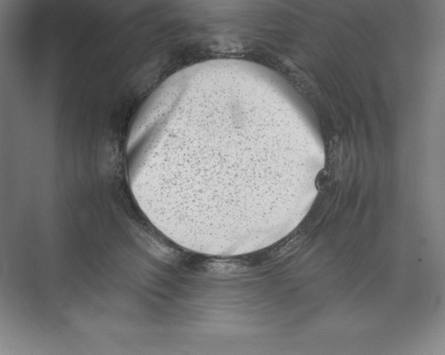 X0000074210614200609221943