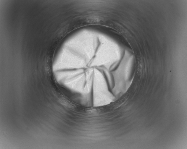 X0000074210616200609221943