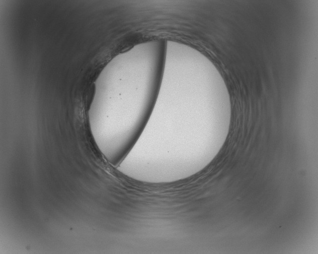 X0000074210617200609221943