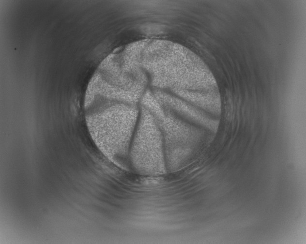 X0000074210618200609221943