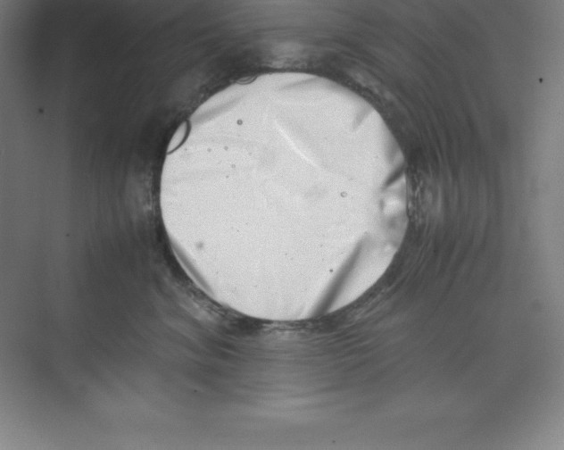 X0000074210620200609221943