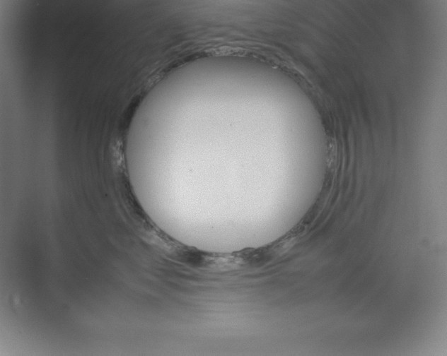 X0000074210621200609221943