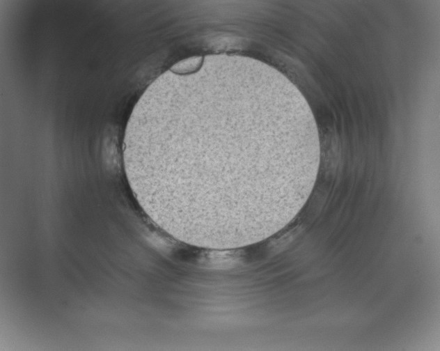 X0000074210622200609221943