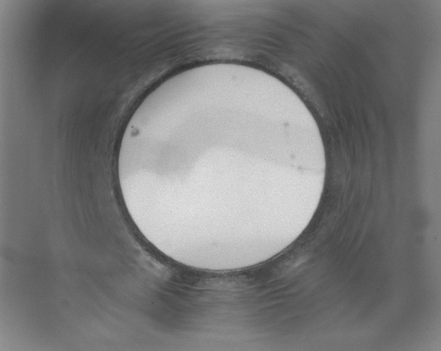 X0000074210625200609221942