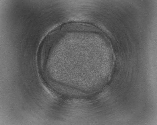 X0000074210626200609221942