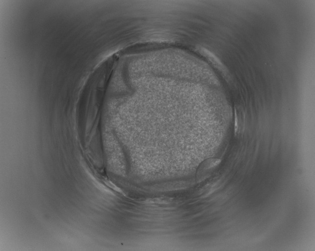 X0000074210627200609221942