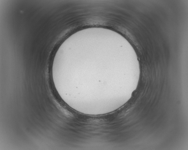 X0000074210629200609221942