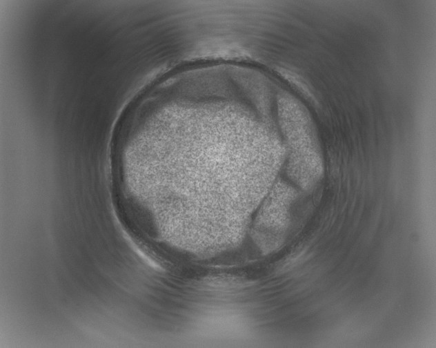 X0000074210630200609221942