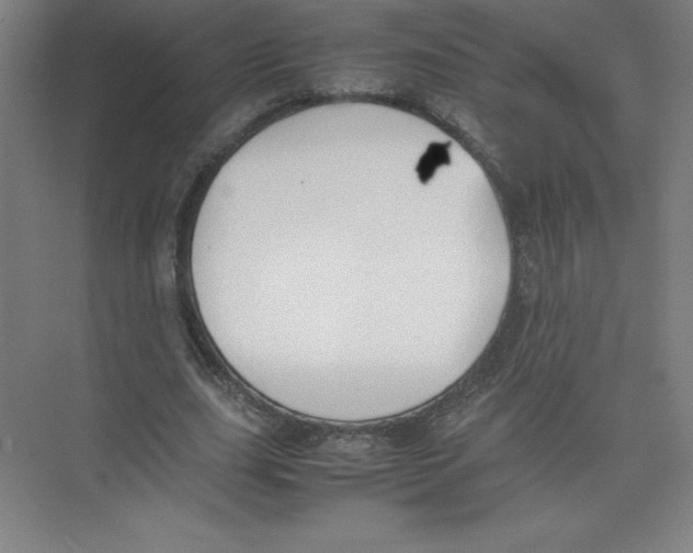 X0000074210631200609221942