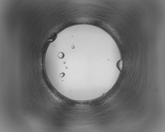 X0000074210633200609221942