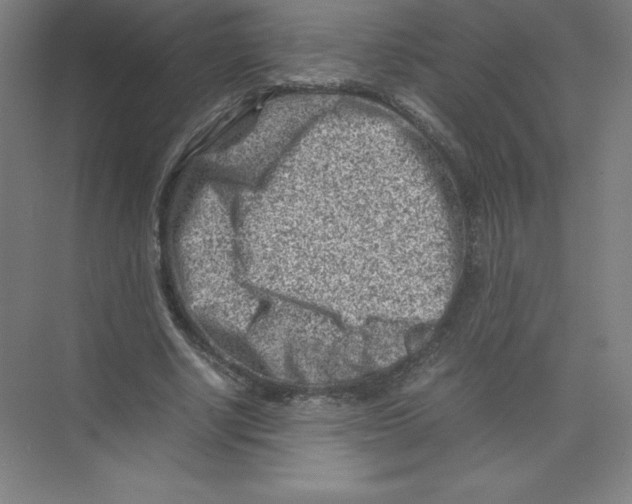 X0000074210634200609221942