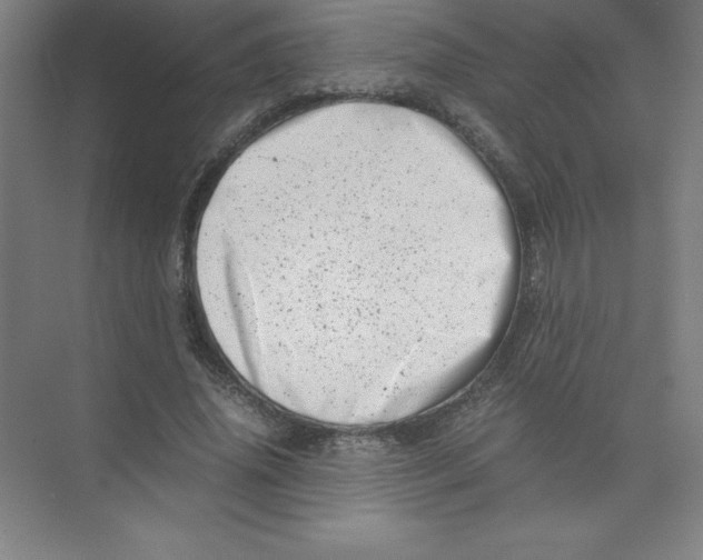 X0000074210636200609221942