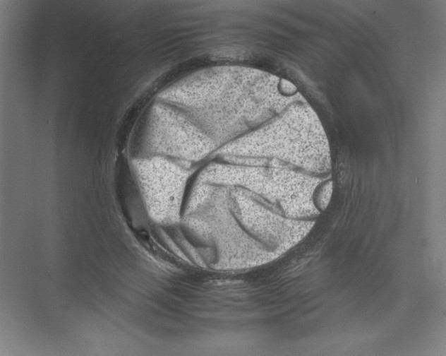 X0000074210637200609221942