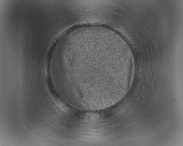 X0000074210640200609221942