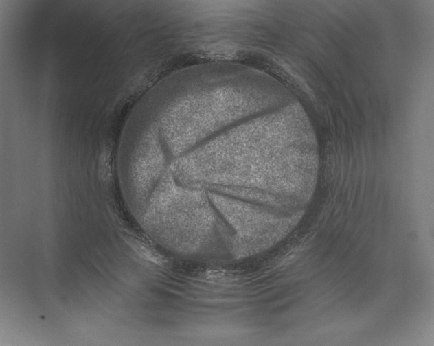 X0000074210641200609221942