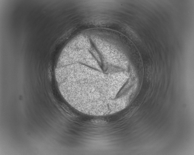 X0000074210644200609221942