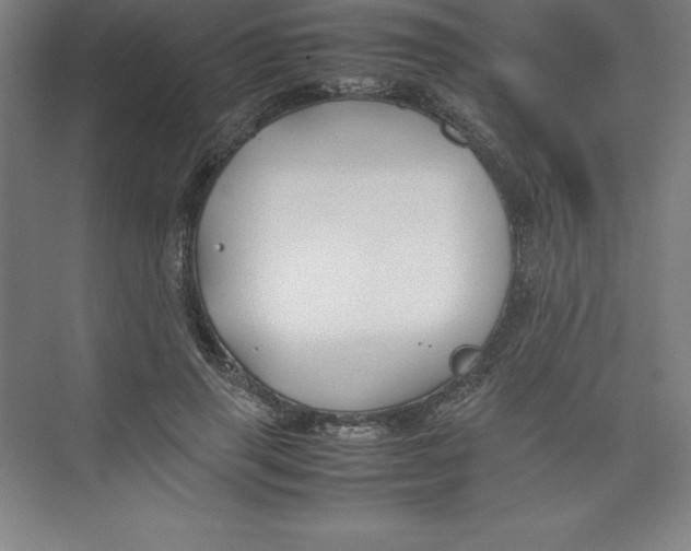 X0000074210645200609221942