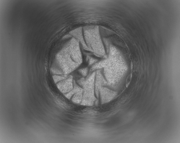 X0000074210648200609221942