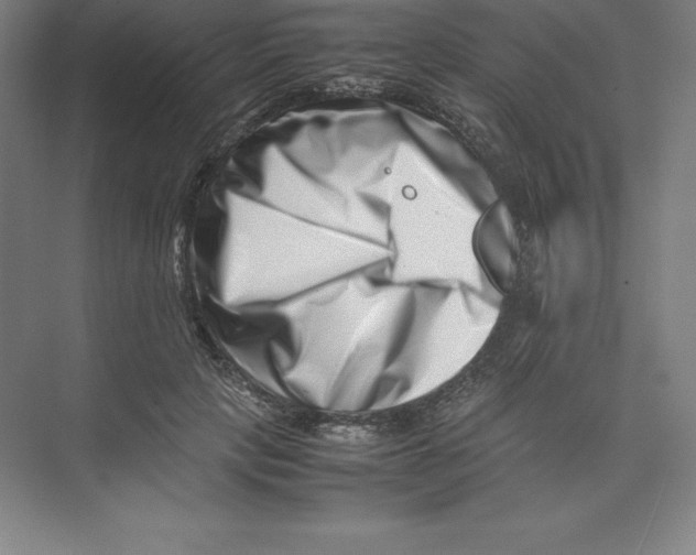 X0000074210649200609221942