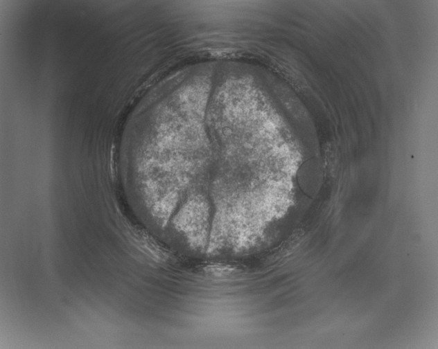 X0000074210650200609221942