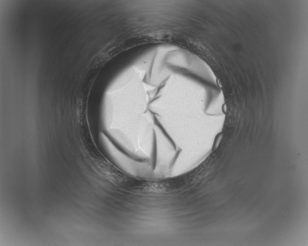 X0000074210656200609221943