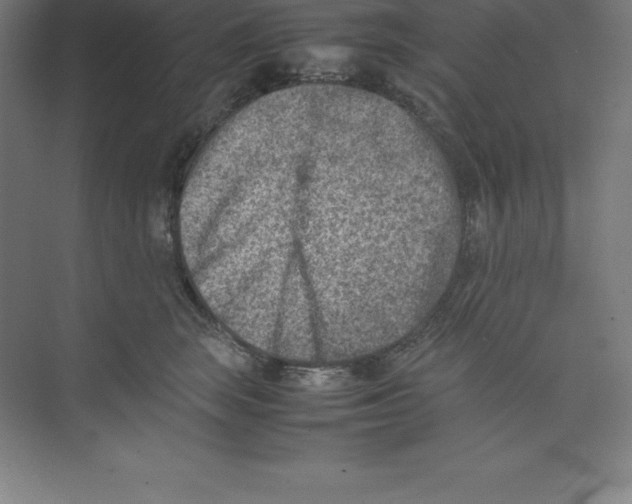 X0000074210663200609221943