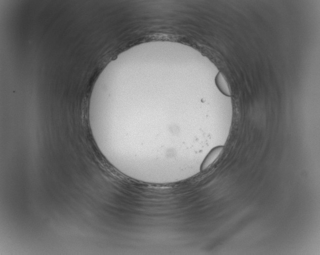 X0000074210665200609221943