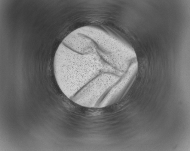 X0000074210667200609221943