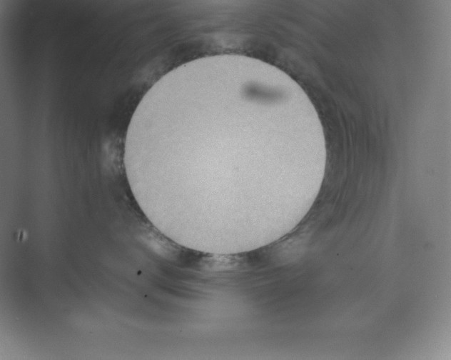 X0000074210672200609221943