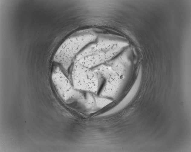 X0000074210673200609221942