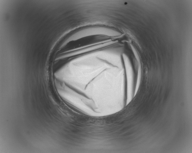 X0000074210676200609221942