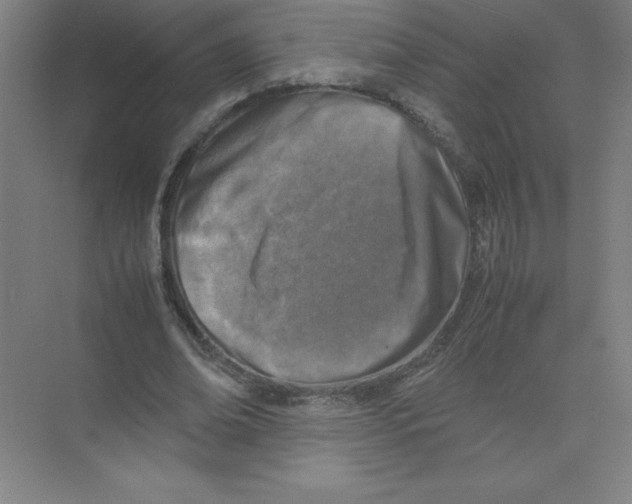 X0000074210678200609221942