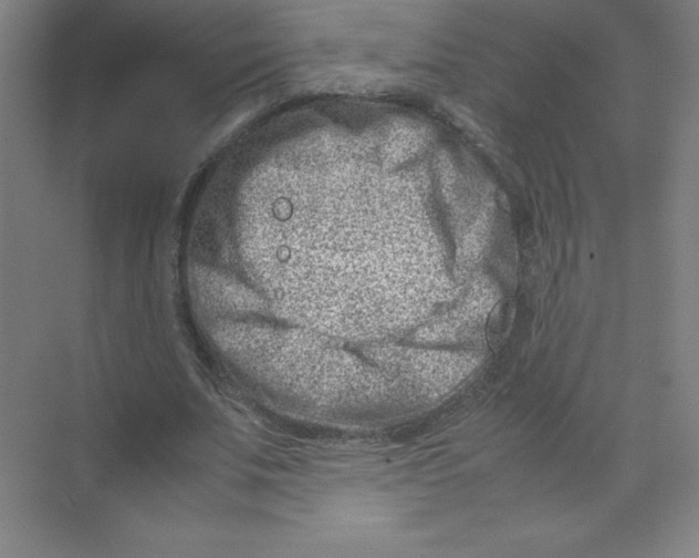 X0000074210679200609221942