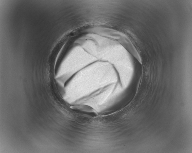 X0000074210684200609221942