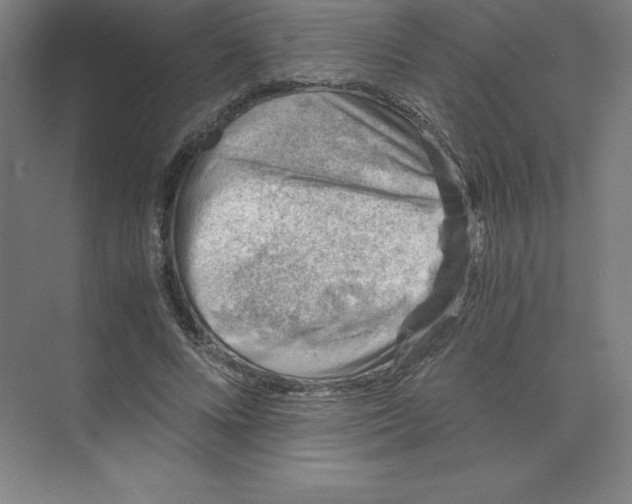 X0000074210688200609221942