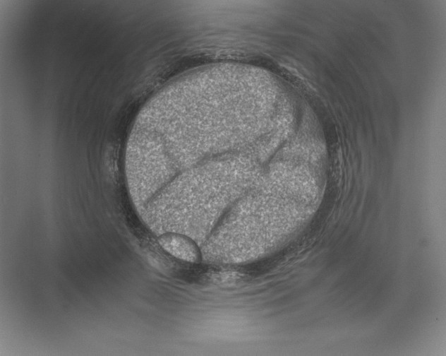 X0000074210695200609221942