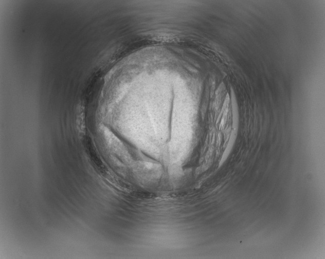 X0000074210696200609221942