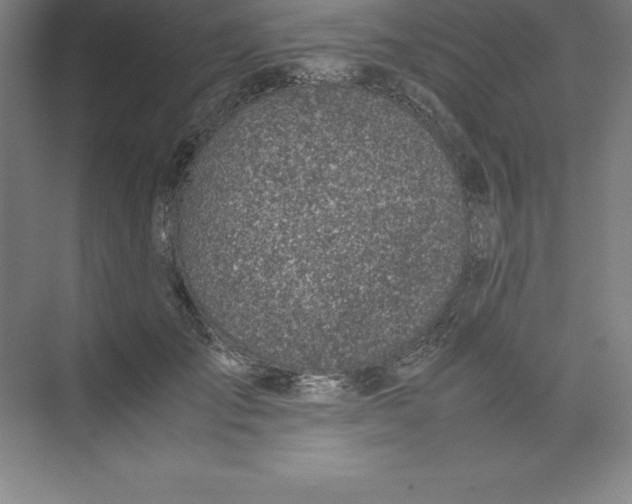 X0000074210701200609221942