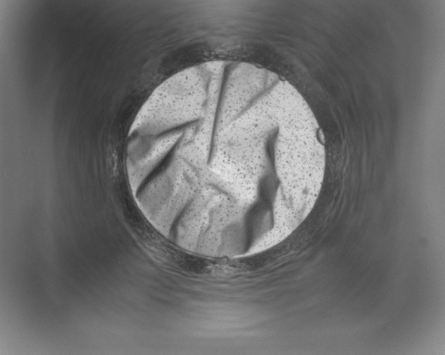 X0000074210703200609221942