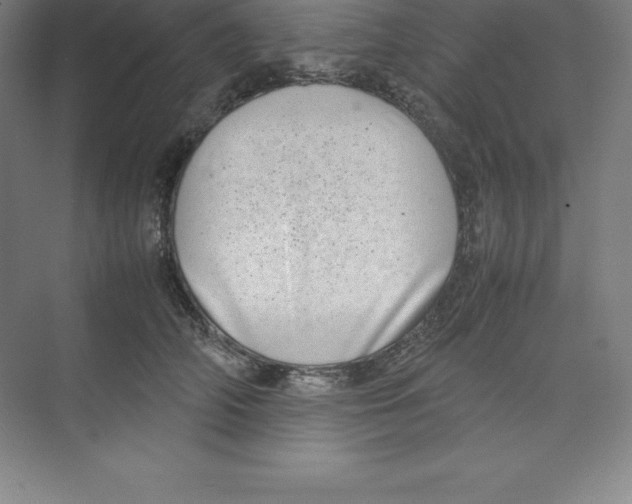 X0000074210706200609221941