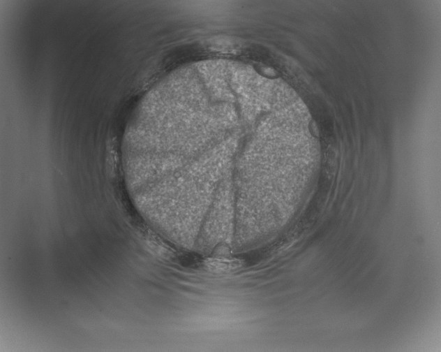 X0000074210707200609221941