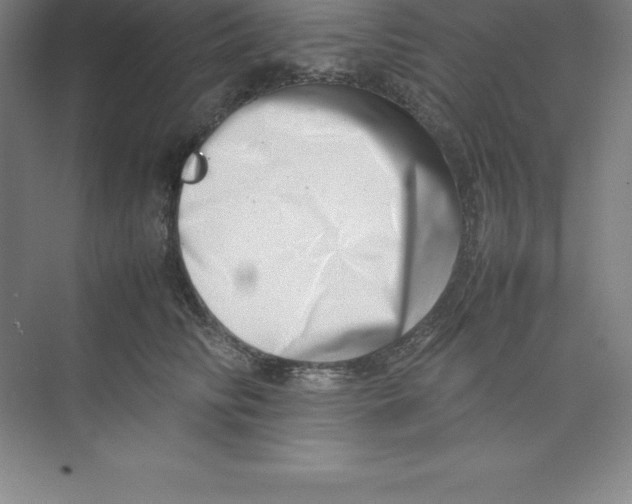 X0000074210710200609221941