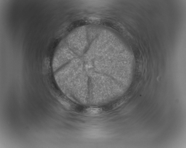 X0000074210711200609221941