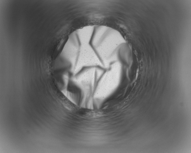 X0000074210712200609221941