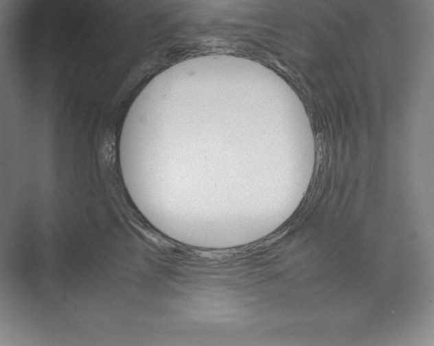 X0000074210713200609221941