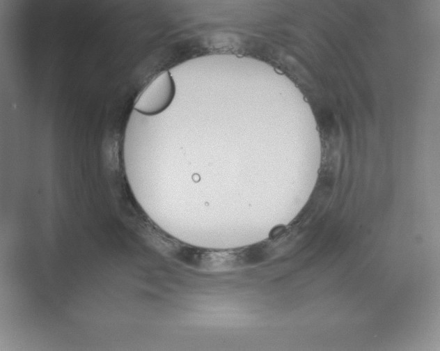 X0000074210717200609221941