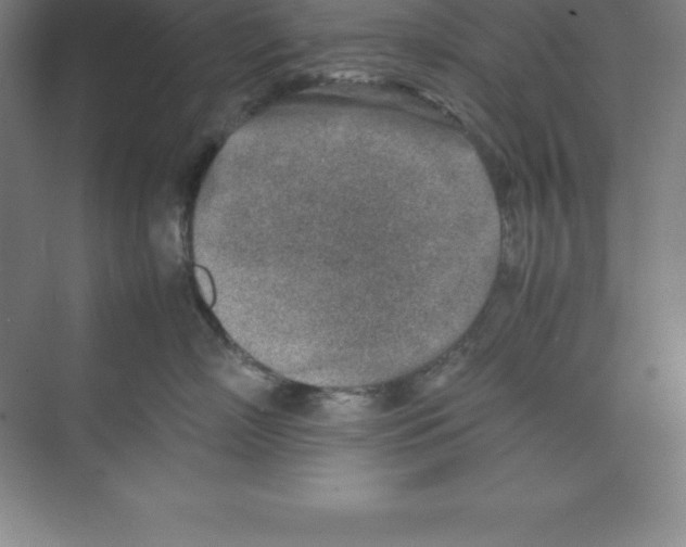 X0000074210718200609221941