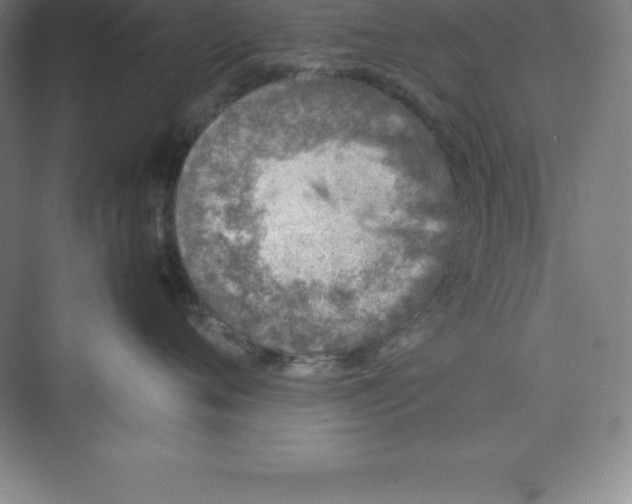 X0000074210720200609221941